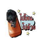 Black Mortal Dog（個別スタンプ：3）