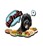 Black Mortal Dog（個別スタンプ：4）
