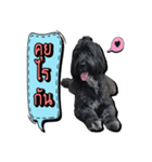 Black Mortal Dog（個別スタンプ：5）