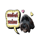 Black Mortal Dog（個別スタンプ：7）