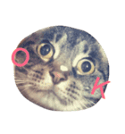 めいめいのすたんぷ（個別スタンプ：1）