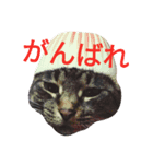 めいめいのすたんぷ（個別スタンプ：2）