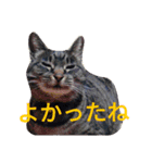 めいめいのすたんぷ（個別スタンプ：4）