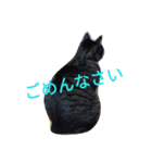 めいめいのすたんぷ（個別スタンプ：7）