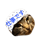 めいめいのすたんぷ（個別スタンプ：8）