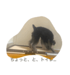 シュナちゃんの気持ち（個別スタンプ：5）