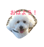 まる まる まる（個別スタンプ：1）