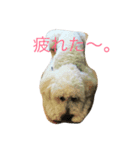まる まる まる（個別スタンプ：2）