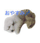 まる まる まる（個別スタンプ：3）