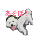 まる まる まる（個別スタンプ：4）