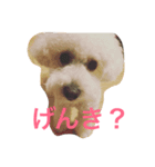 まる まる まる（個別スタンプ：5）