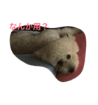 まる まる まる（個別スタンプ：6）