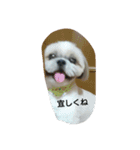 とこちゃんハウス（個別スタンプ：3）