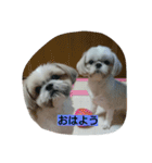 とこちゃんハウス（個別スタンプ：8）