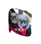 とこちゃんハウス（個別スタンプ：14）