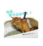 ちょこときなこ（個別スタンプ：4）