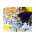 ちょこときなこ（個別スタンプ：6）