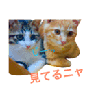 ちょこときなこ（個別スタンプ：7）