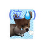 愛犬のくうちゃん（個別スタンプ：5）