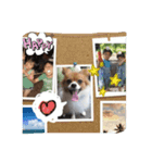 愛犬のくうちゃん（個別スタンプ：8）