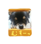 キキ（個別スタンプ：6）