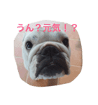 長男レオ君（個別スタンプ：3）