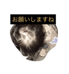 chopis（個別スタンプ：9）