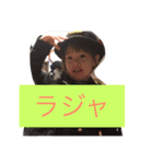 chopis（個別スタンプ：12）