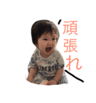 chopis（個別スタンプ：15）