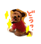ぽっちゃりリラさん（個別スタンプ：3）