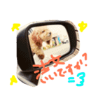 ぽっちゃりリラさん（個別スタンプ：13）