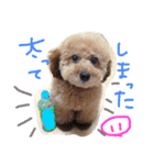 ぽっちゃりリラさん（個別スタンプ：17）