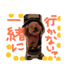 ぽっちゃりリラさん（個別スタンプ：23）
