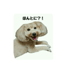 仲良しのふたりをスタンプにしました。（個別スタンプ：1）