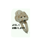 仲良しのふたりをスタンプにしました。（個別スタンプ：2）