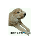 仲良しのふたりをスタンプにしました。（個別スタンプ：3）