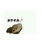 仲良しのふたりをスタンプにしました。（個別スタンプ：5）