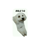 仲良しのふたりをスタンプにしました。（個別スタンプ：6）