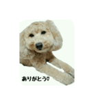 仲良しのふたりをスタンプにしました。（個別スタンプ：7）