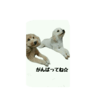 仲良しのふたりをスタンプにしました。（個別スタンプ：8）
