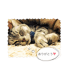 表情豊かなにゃんこスタンプ（個別スタンプ：22）