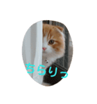 mor-1（個別スタンプ：7）