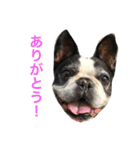Liz＆Friends1（個別スタンプ：1）