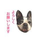 Liz＆Friends1（個別スタンプ：5）