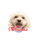タルトの気持ち（個別スタンプ：1）