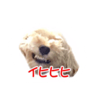 タルトの気持ち（個別スタンプ：4）