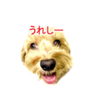 タルトの気持ち（個別スタンプ：5）