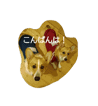 ヘソ天コーギーズvol.2（個別スタンプ：4）