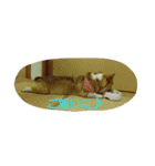 ヘソ天コーギーズvol.2（個別スタンプ：16）