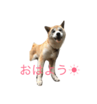 BANANA ＆ PECO（個別スタンプ：2）